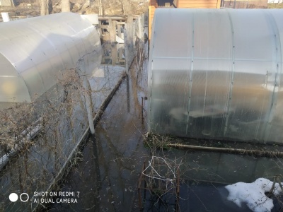 Затопило огород-06.jpg